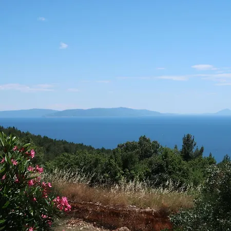 Apartament Magnolia - Rac167 By Interhome *